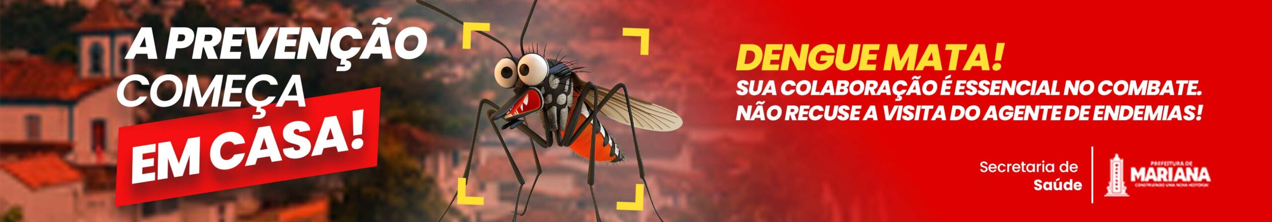 dengue - site externo (1)
