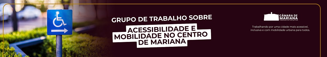 Grupo de Trabalho sobre Acessibilidade