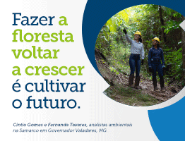 9046.3_Banner_portal_Portal_Territorio_Noticias_Setembro_Sustentabilidade_e-Restauracao_Florestal_WhtApp_262x200px_v1